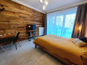 Mountain Lodge Studio Forset View, Szklarska Poręba